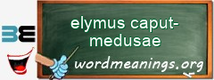 WordMeaning blackboard for elymus caput-medusae